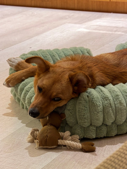 Calming Orthopedic Dog Bed With Waterproof Removable Cover